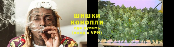 молекула духа Белокуриха