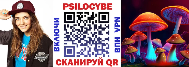 Купить закладки  Черкесск  Галлюциногенные грибы MAGIC MUSHROOMS 